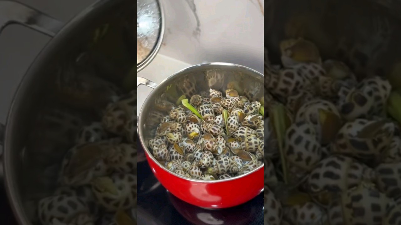 ốc hương hấp sả #tgfa #food #cooking #monngon #xuhuong #