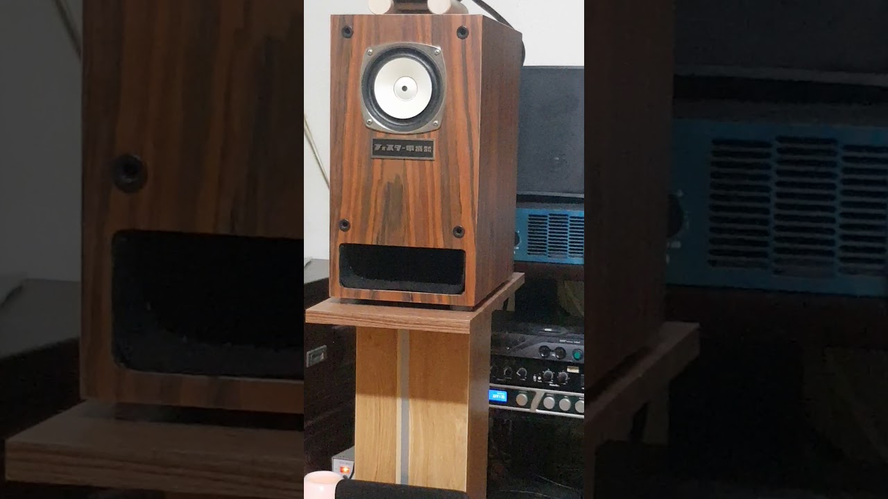 FOSTER FE 103A _ phối ghép 300b