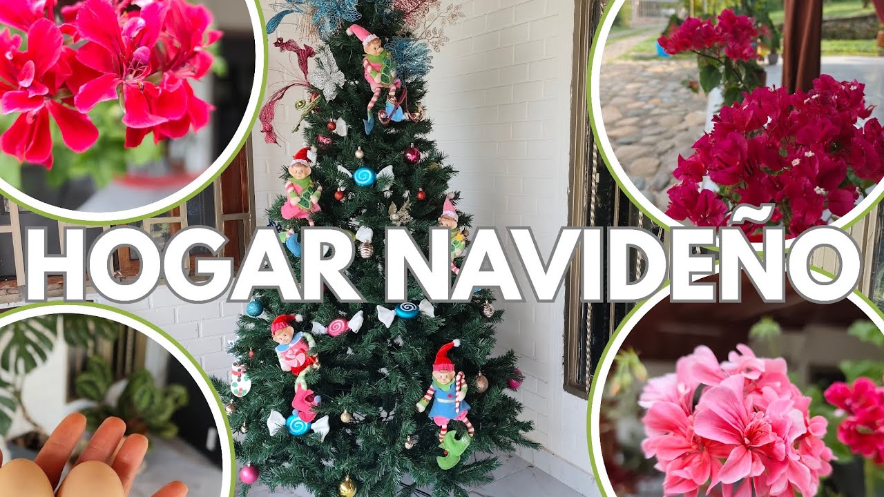 Hogar navideño ven mira como quedó el árbol de navidad 🎄