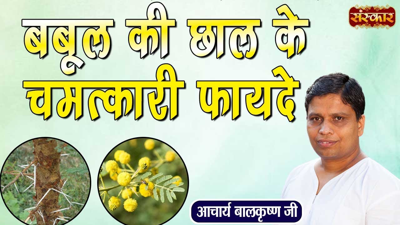 बबूल की छाल के चमत्कारी फायदे | Benefits of Acacia Bark | Acharya Balkrishna Ji Ke Nuskhe