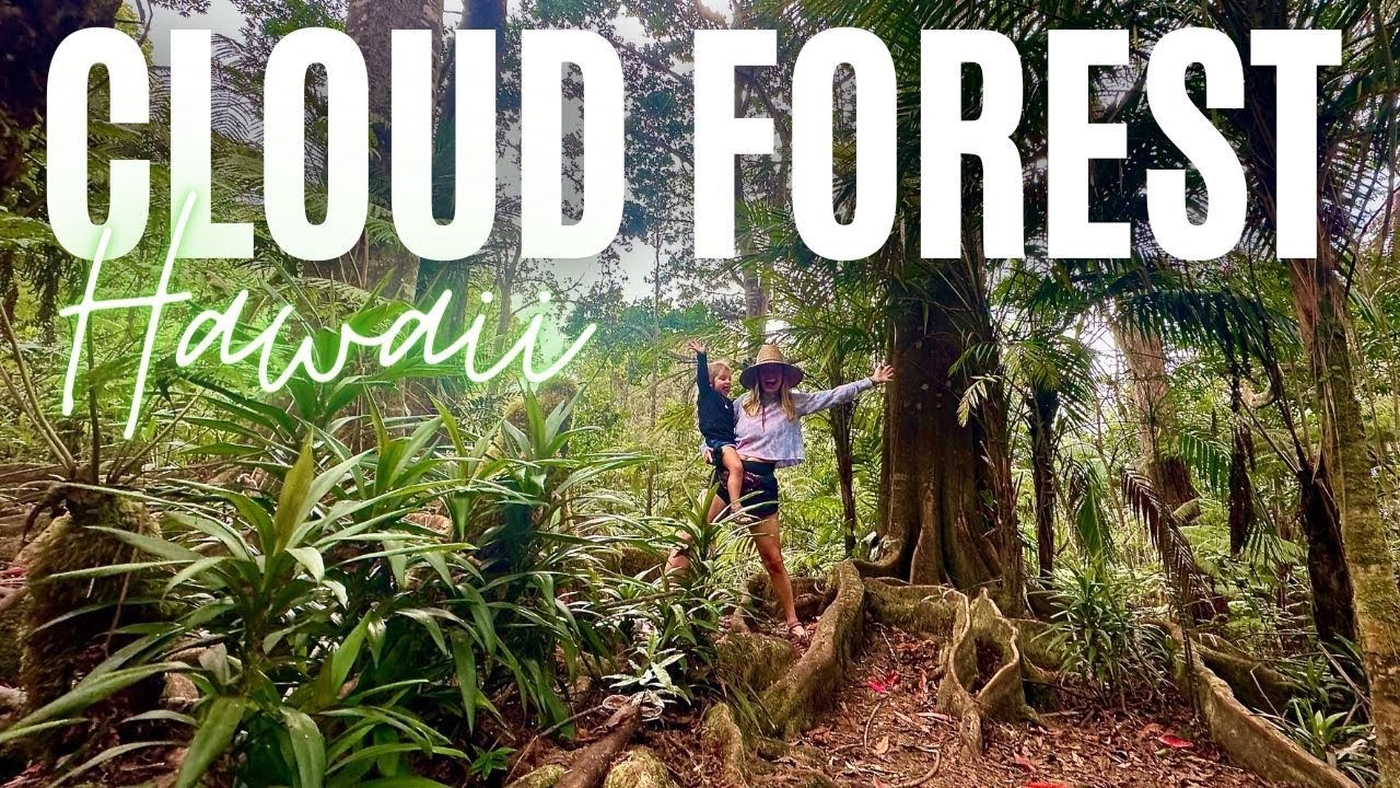 This tropical oasis was once deforested pasture land! Exploring Hawaii’s Kona Cloud Forest Sanctuary