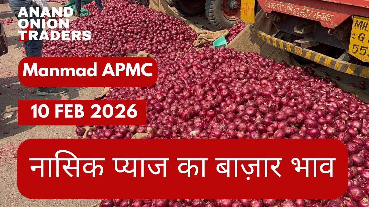 Nashik Onion Market Today 🔴 | Red Onion Price Today | APMC Bhav 10 February 2026