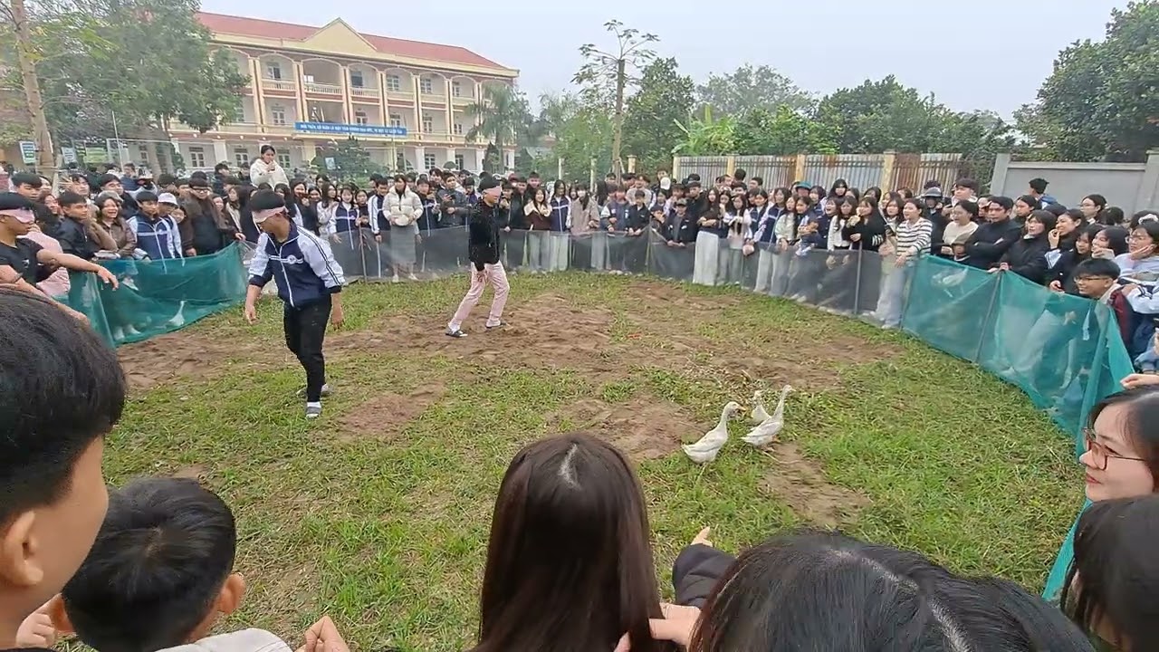 Vui Bịt mắt bắt vịt, THPT Nguyễn Trường Thúy 