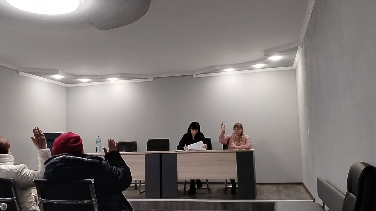 Засідання бюджетної комісії перед 51 сесією