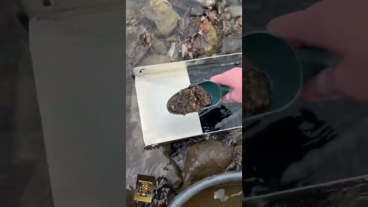 Am găsit AUR ALUVIONAR in spatele BOLOVANULUI