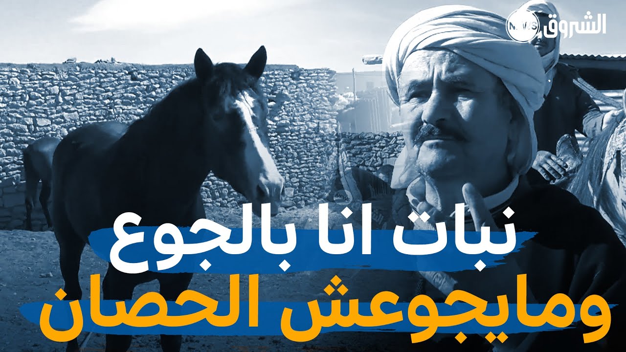 شاهد أحد مربي الخيول بـ #سيدي_بلعباس يشتكي ارتفاع اسعار العلف 