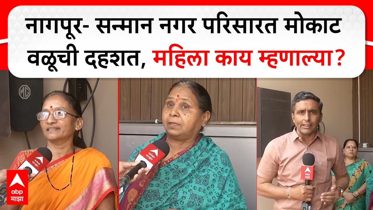Nagpur Bull Update : नागपूर- सन्मान नगर परिसारत मोकाट वळूची दहशत, महिला काय म्हणाल्या?