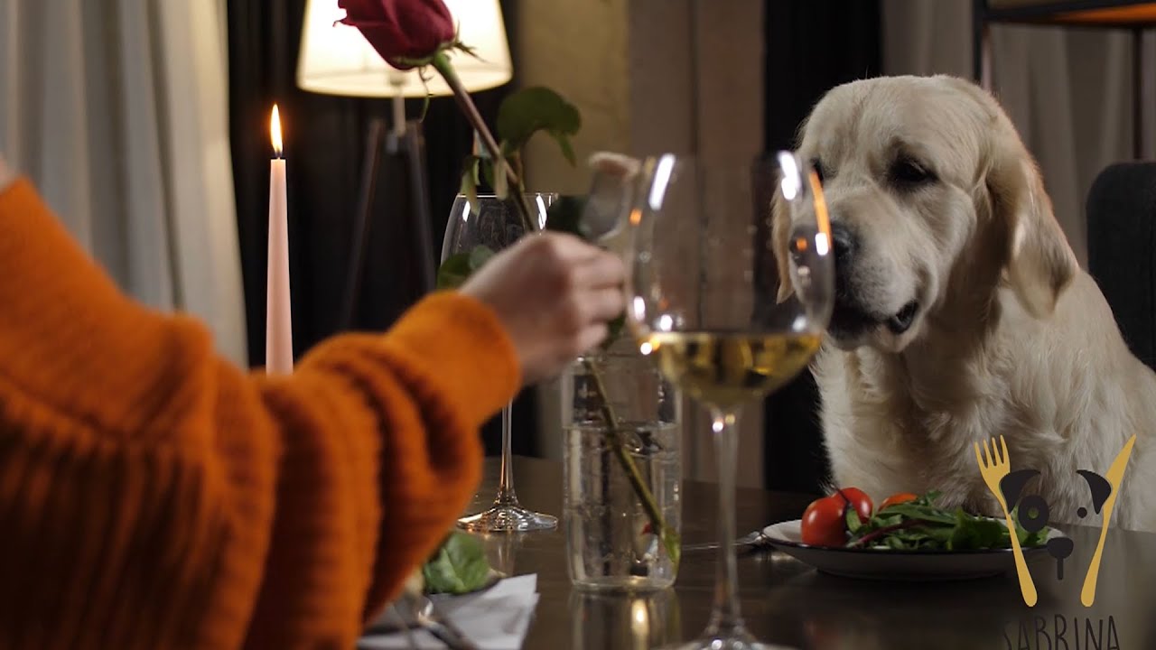 Dinner for  Dogs inkl. Nährwerttabelle