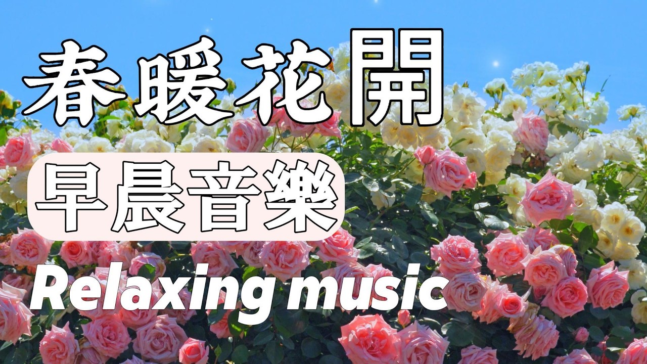 1小时早晨音乐🌞春日暖陽輕音樂，無廣告，陪你度過讀書、寫作、健身、運動的美好時光