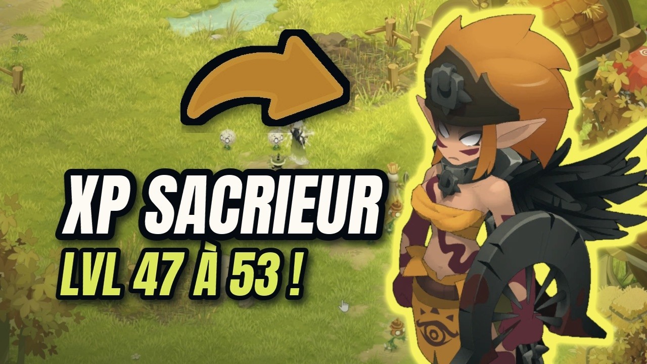 COMMENT MONTER UN SACRIEUR LVL 200 EN SOLO : LVL 47 à 53 [DOFUS 3]