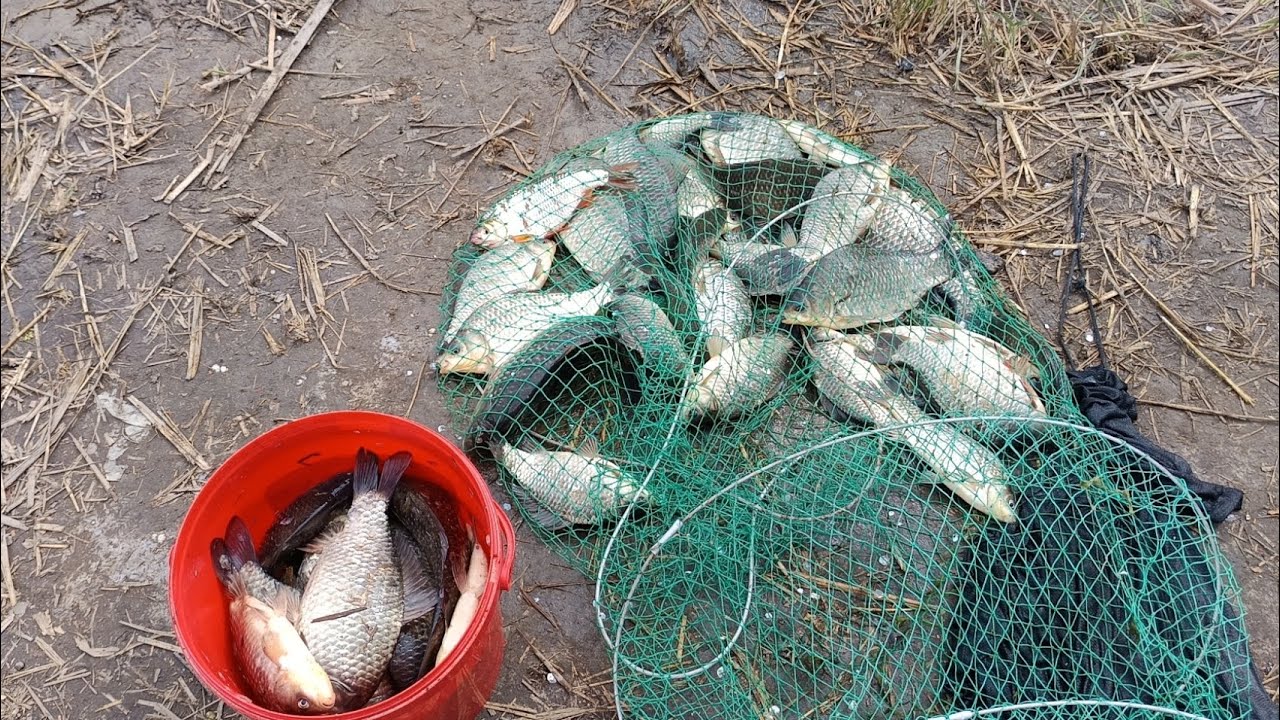 Partida de pescuit la 24h pe Blasova,caras frumos