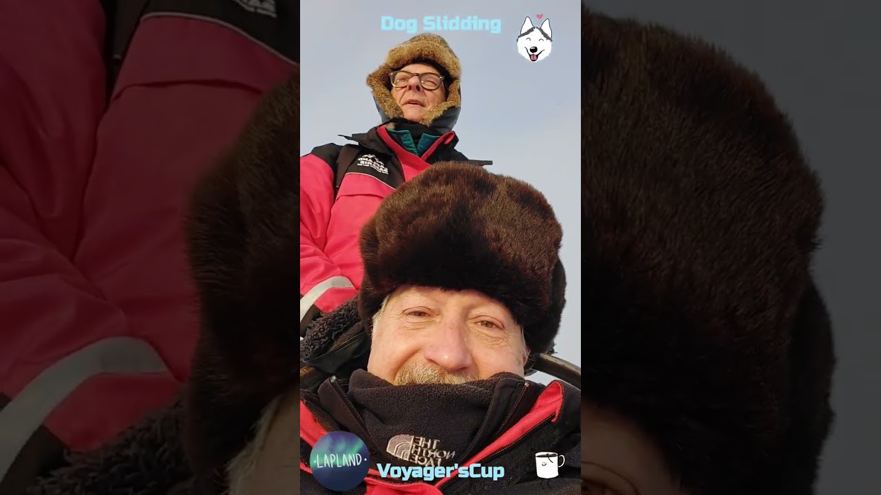 Escursione con i cani da slitta in Lapponia