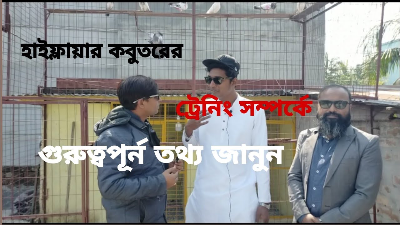 হাইফ্লায়ার কবুতরের বড় রেজাল্ট করতে ট্রেনিং সম্পর্কে জানুন?Tomal pigeon lopt.