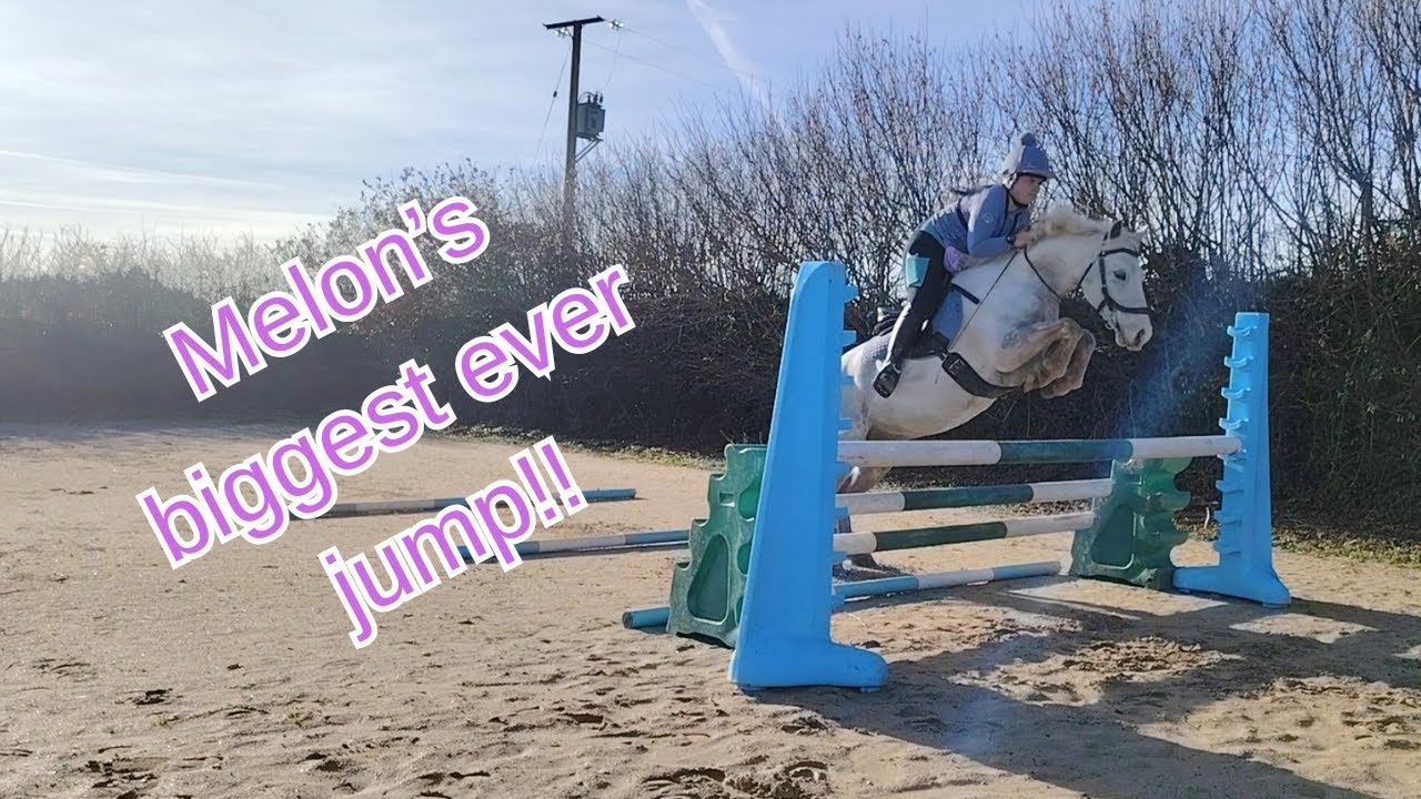 Melon's biggest jump yet! #equestrianjourney #pony #horse #bigjump
