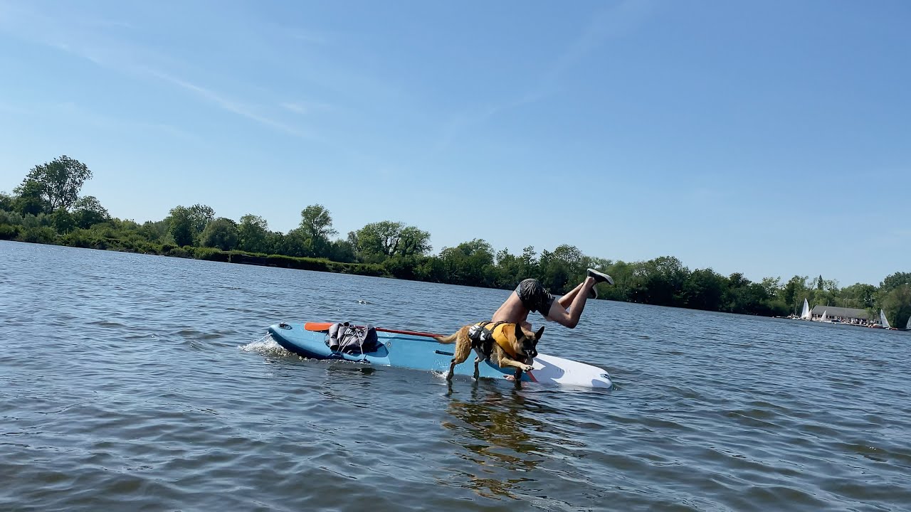 FAIRE DU PADDLE AVEC SON CHIEN
