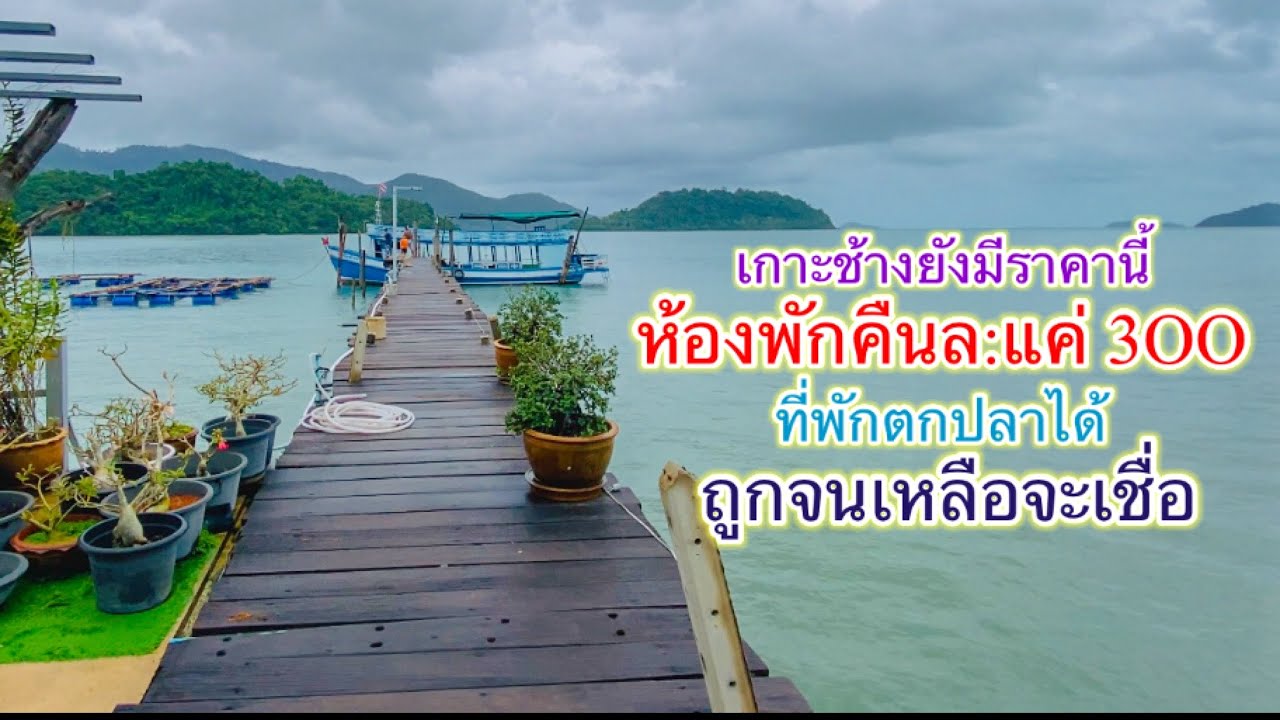 คืนล: 3OO ถูกจนเหลือจะเชื่อ เกาะช้างเลี้ยวซ้าย ตกปลาได้ ดักปูด้วย