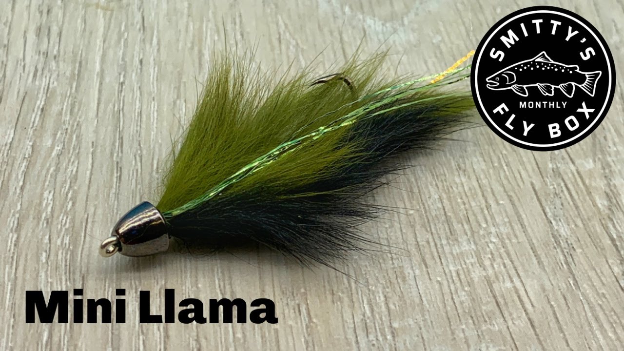 Mini Llama