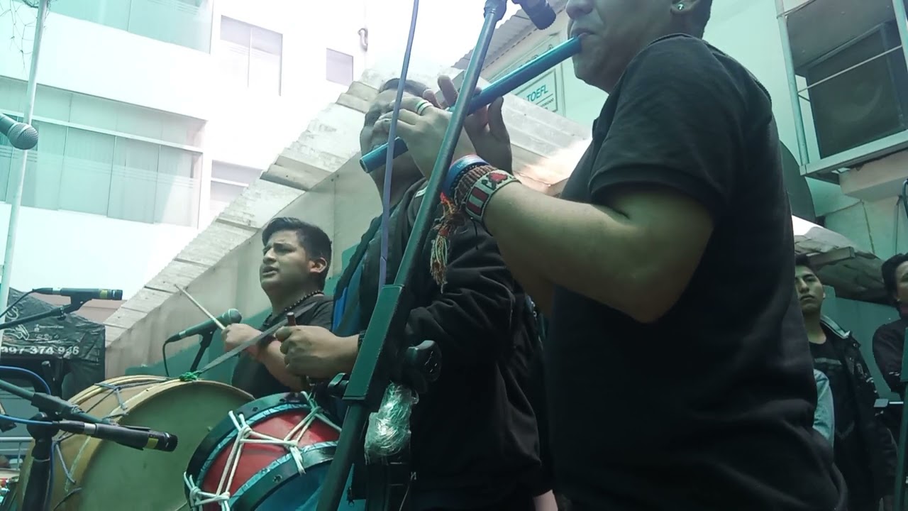 Carapachos - Ritmos del Oriente 2022 - colegio Ferming Tangüis