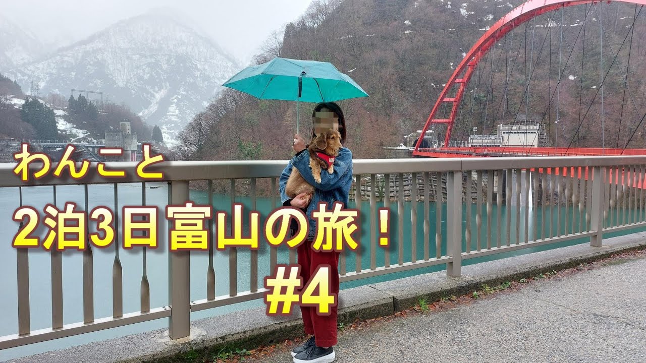 【わんこ旅】富山県 ２泊３日の旅！#4 雨の中の黒部 道の駅周り、観光～道の駅kokoくろべ、道の駅うなづき、宇奈月ダム～