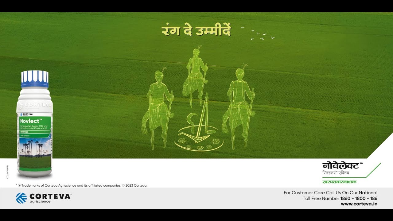 चावल में बेहतर रिटर्न और खरपतवार प्रबंधन द्वारा अपनी महत्वाकांक्षाओं को साकार करें