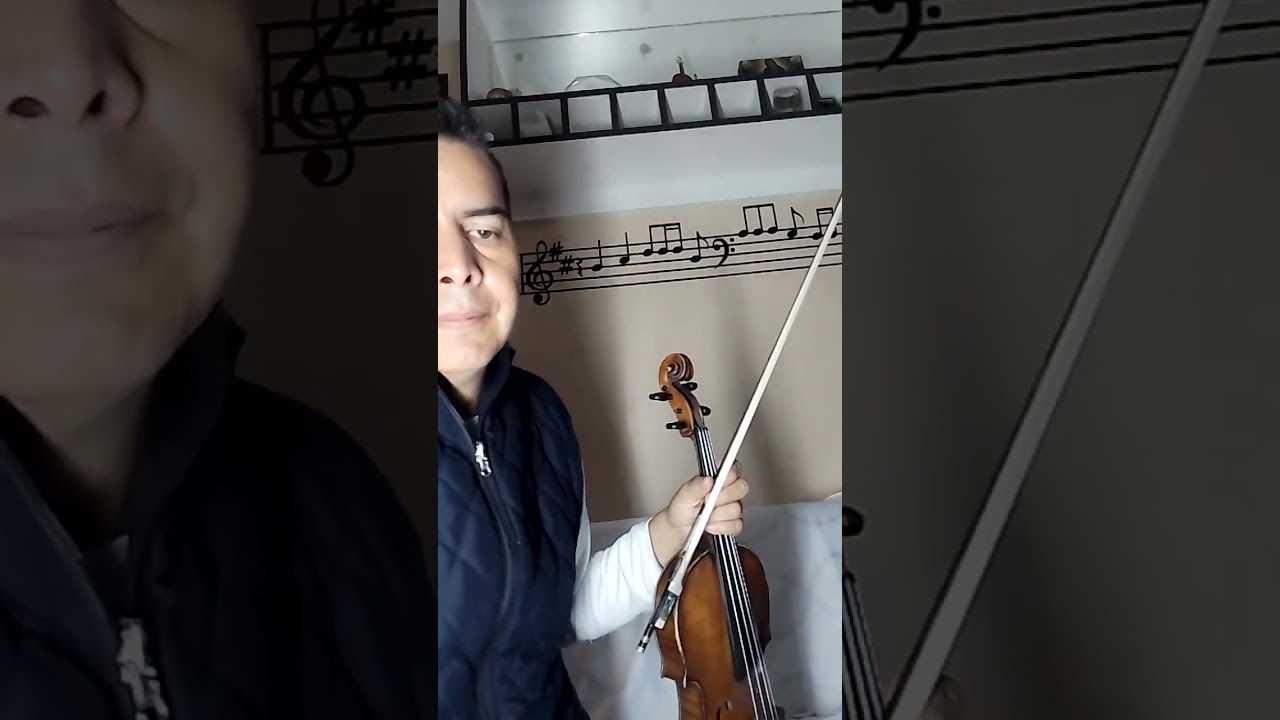 El mil amores, violín garibaldi