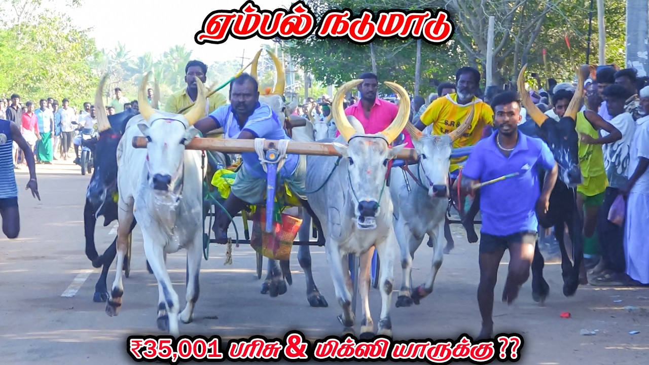 5ஏம்பல்-நடுமாடு-பந்தயம்_04.03.2026_V_Photography