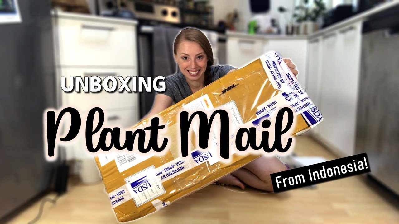 Plant Haul! | Import Order Unboxing from Indonesia!