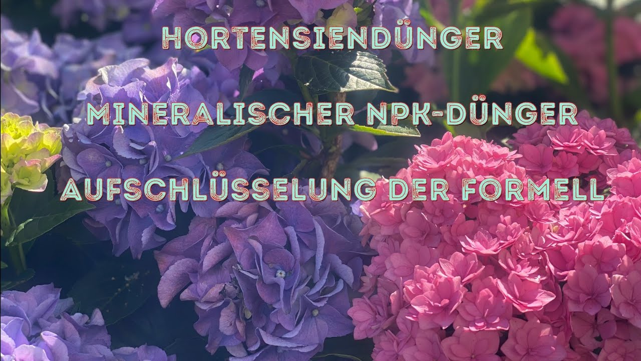 NPK = Dünger mit den drei Hauptnahrungs-Elementen: Stickstoff (N), Phosphor (P) und Kalium (K).