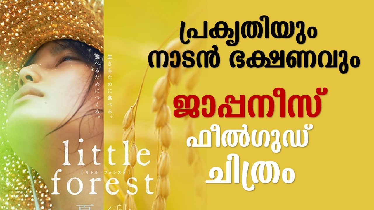 Little Forest: Summer/Autumn 2014 Explained in Malayalam | Part 1 | Movie explained | Cinema Katha