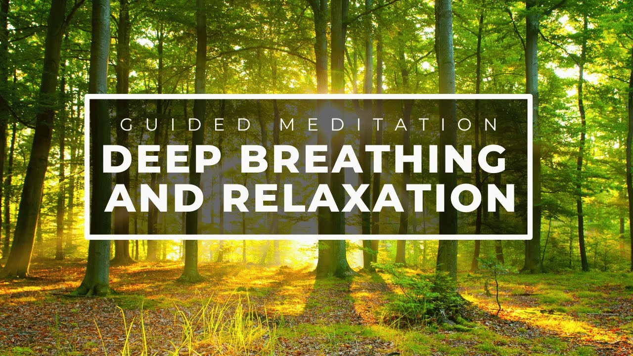 Guided Meditation for Calm (15 Minutes) - Release Stress, Find Peace | Deep Relaxation