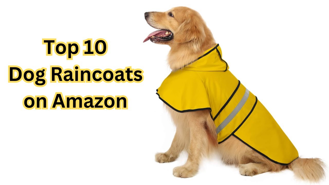 Top 10 Dog Raincoats on Amazon