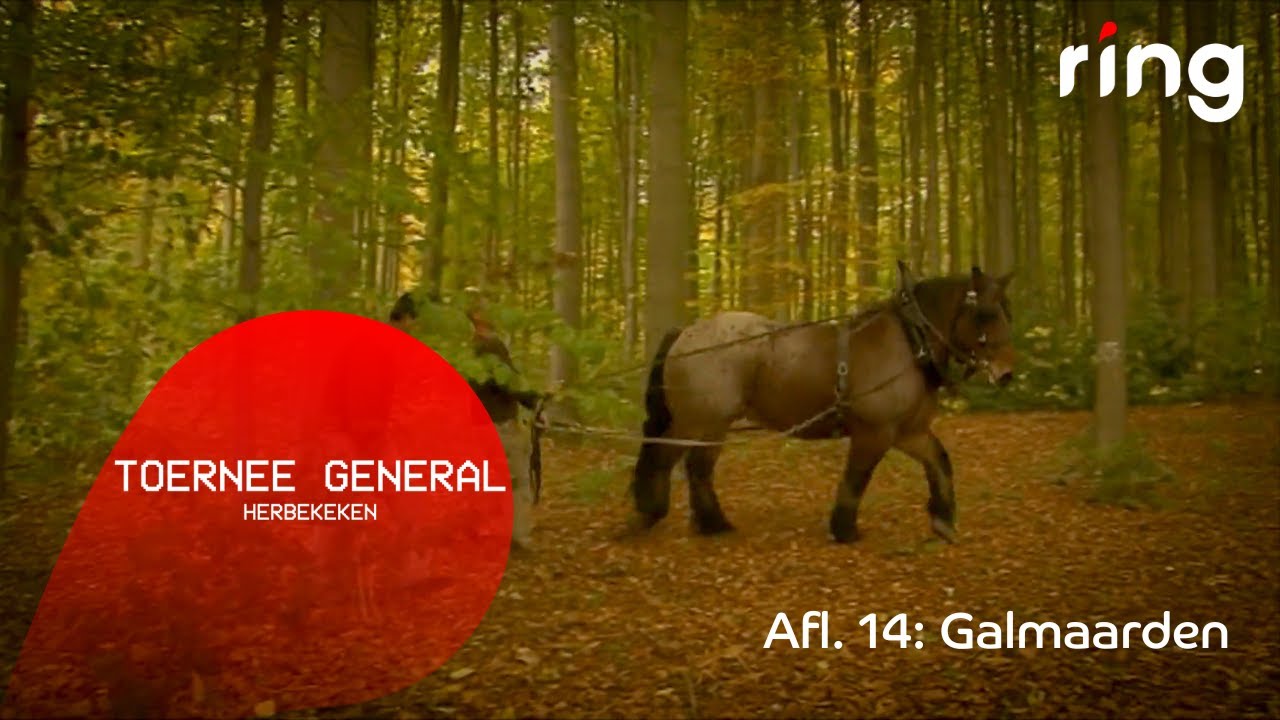 TOERNEE GENERAL HERBEKEKEN Afl.14: Museum van het Belgisch Trekpaard - Galmaarden