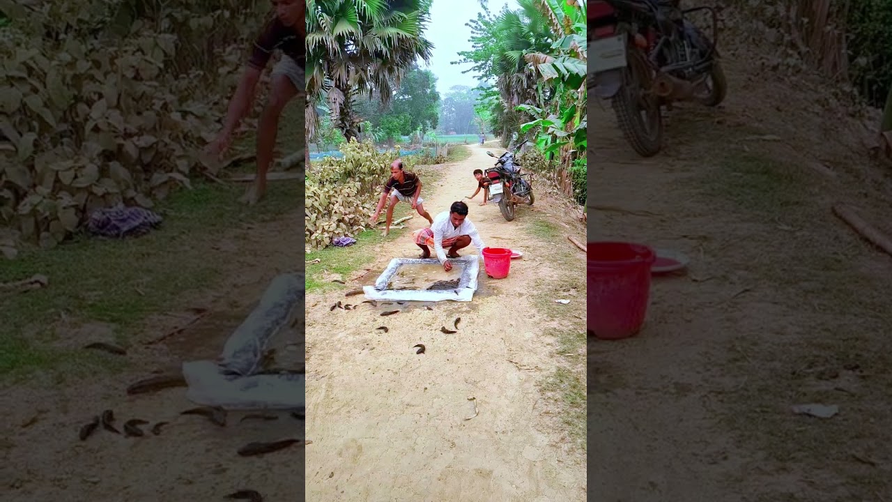 হাহাহা কি করে দেখেন মজার ভিডিও #funny #viral #video 