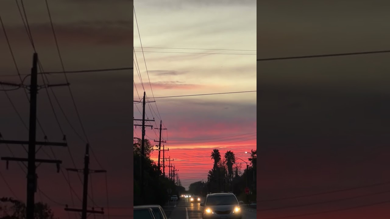 Something about a sunset 😍 #shorts #sunset #calivibes #mood
