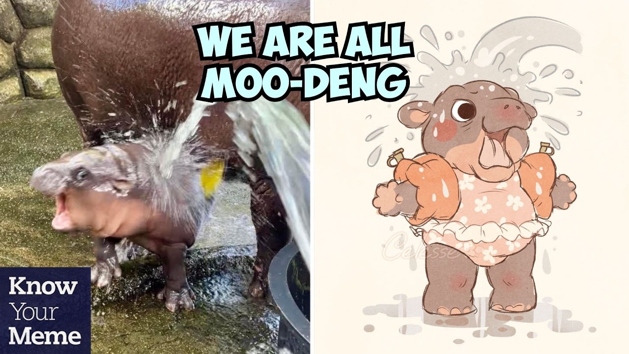 The Internet Is Obsessed With This Screaming Baby Hippo Named Moo-Deng