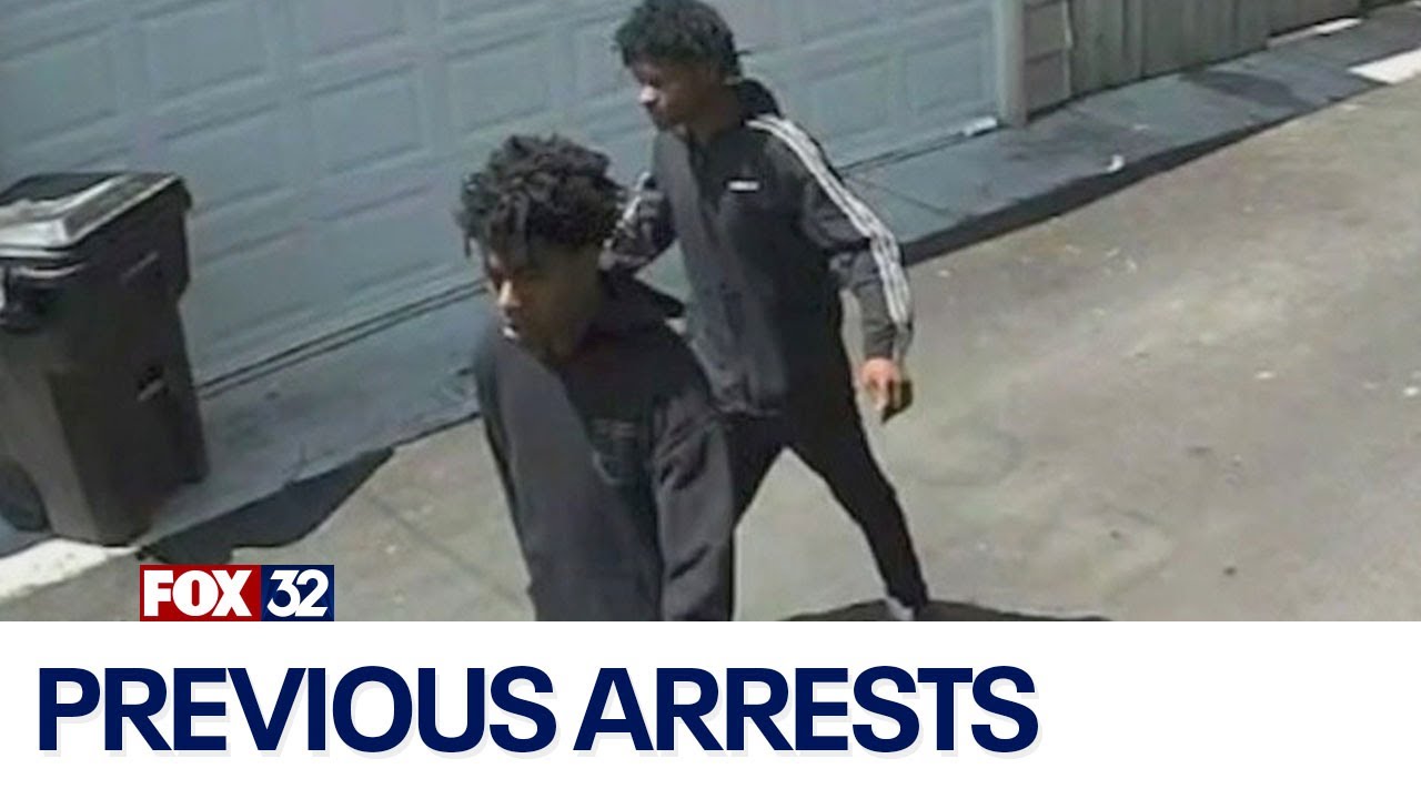 Teen was on home confinement when he allegedly murdered retired Chicago officer: prosecutors