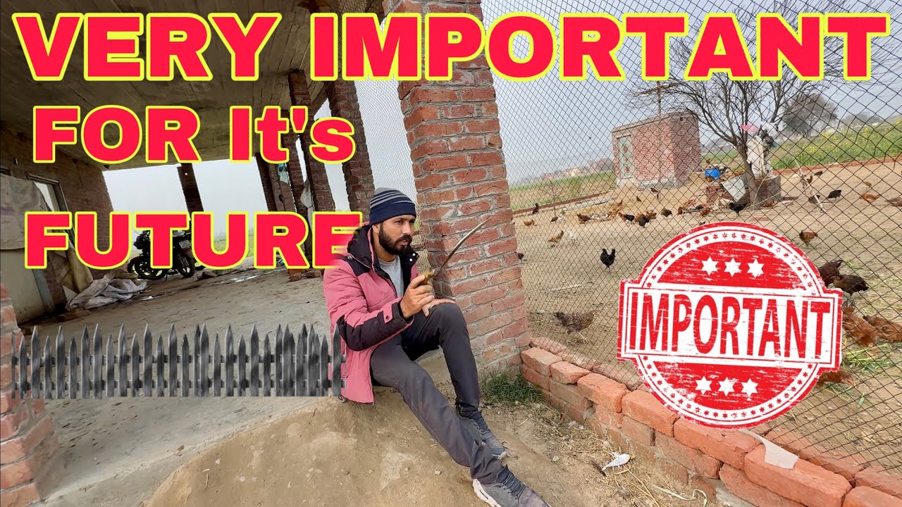 It’s Very Important For My Wall Of Open Farm | Mr Asad 