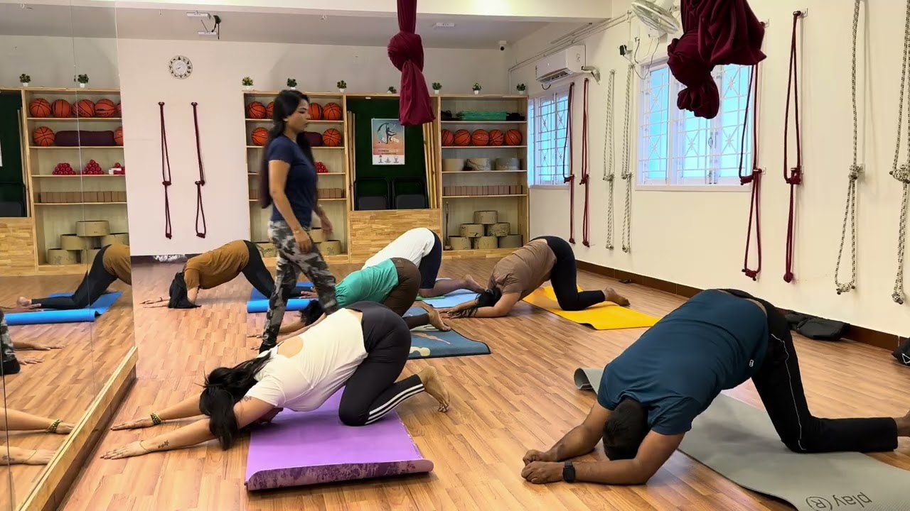 OPENING BODY EXERCISE 
