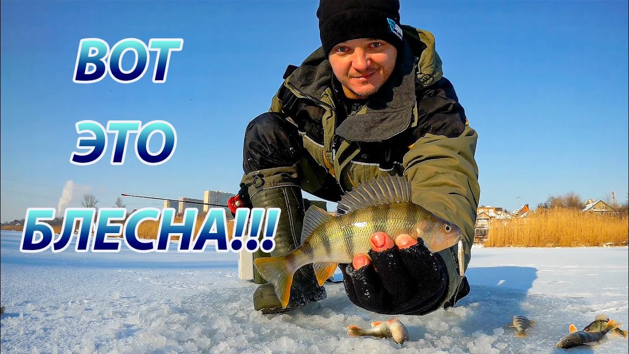 Зимняя блесна КТ36. Как окунь бросался на блесну. Ловля окуня со льда.