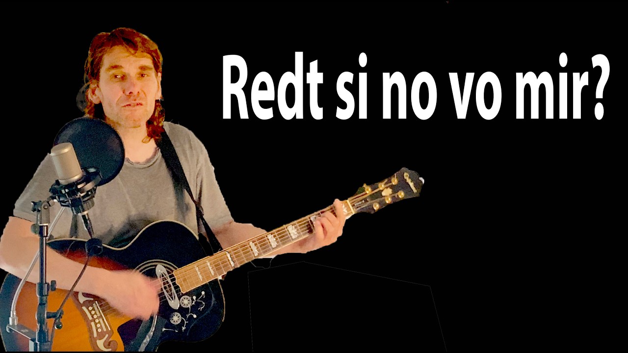 Züri West - Redt si no vo mir (Cover by David Meister)
