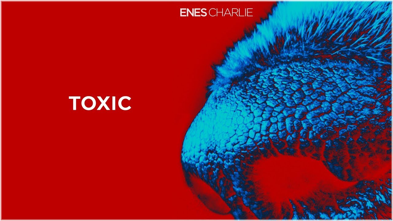 ENES - Toxic [Official Audio]