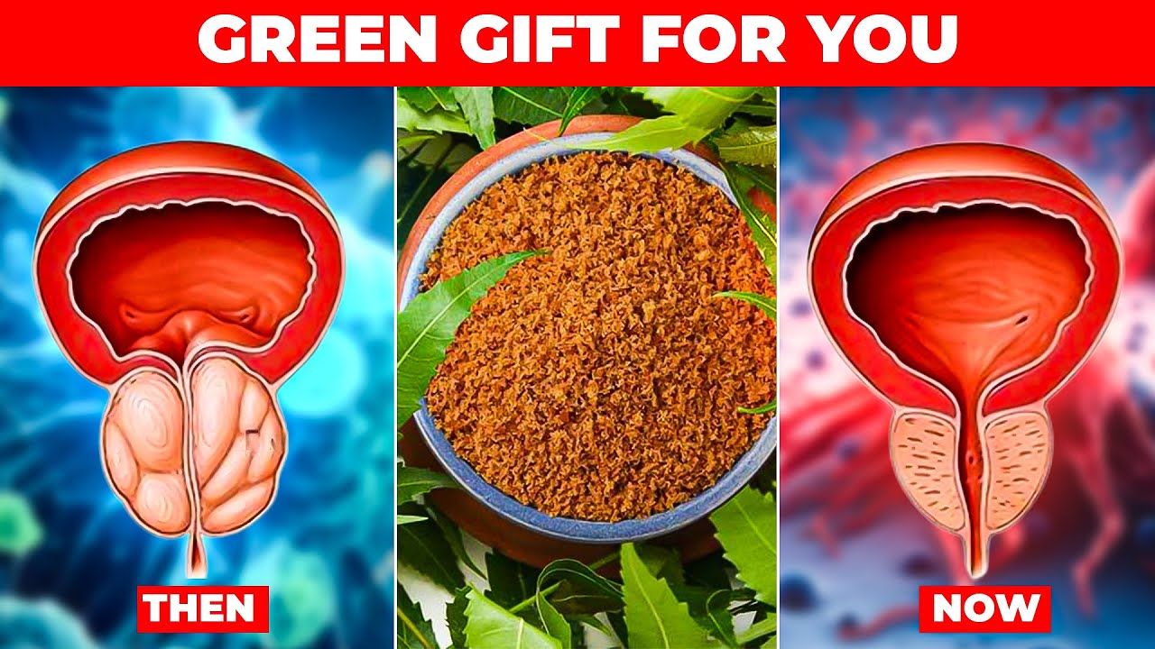 Why You Should Take Neem Leaves for Prostate Issues&mdash;Find Out!