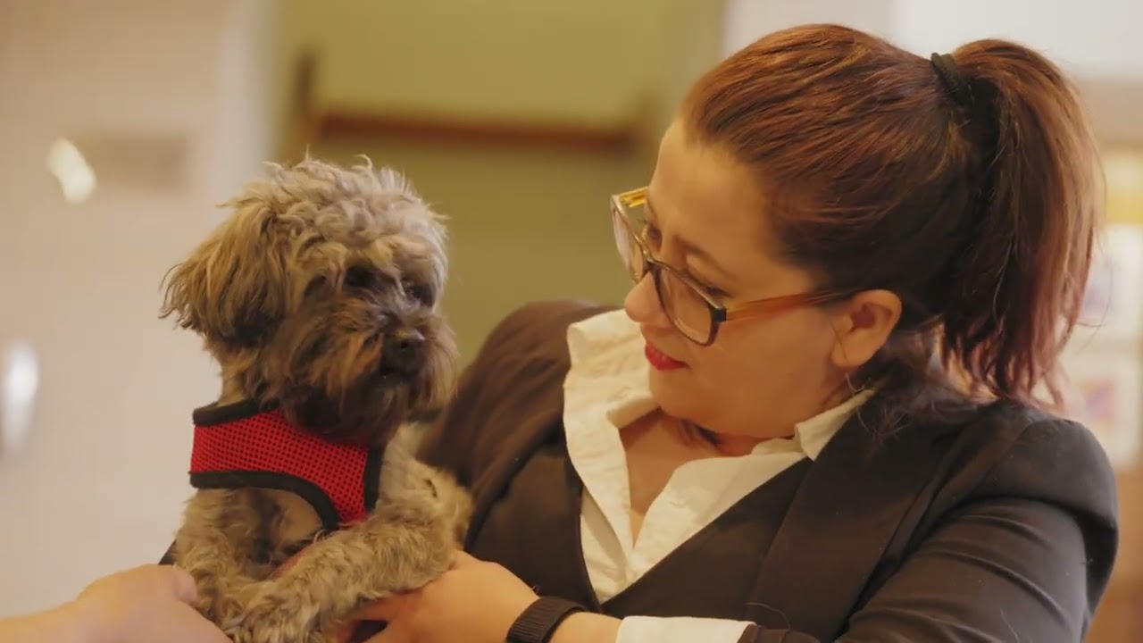 Welcome Break Hotels Pet Stays