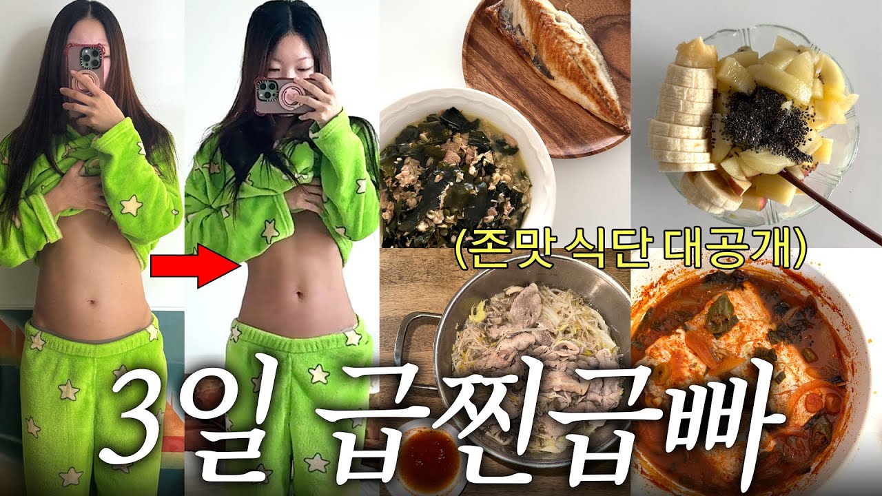 명절 때 찐 살 급찐급빠 3일 도전..🥵💦 다이어트 식단, 운동, 그리고 술,,,vlog🙄