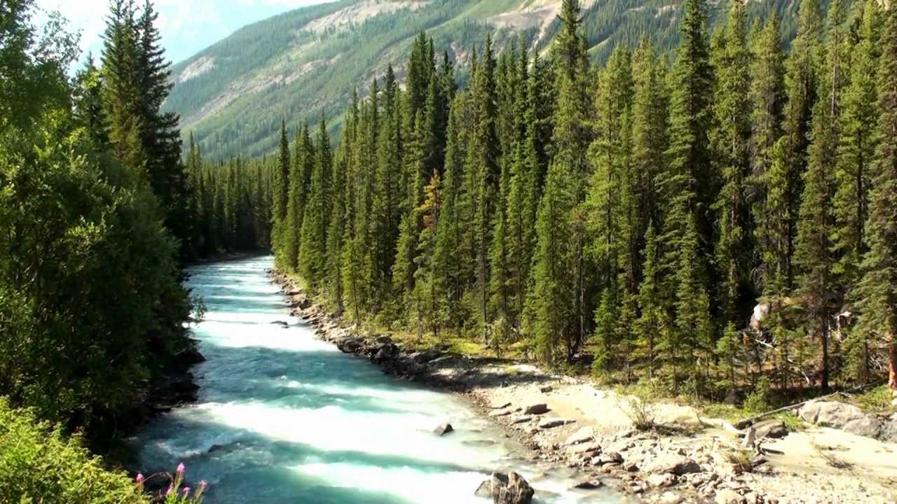 2012 - Banff National Park, Alberta, Canada