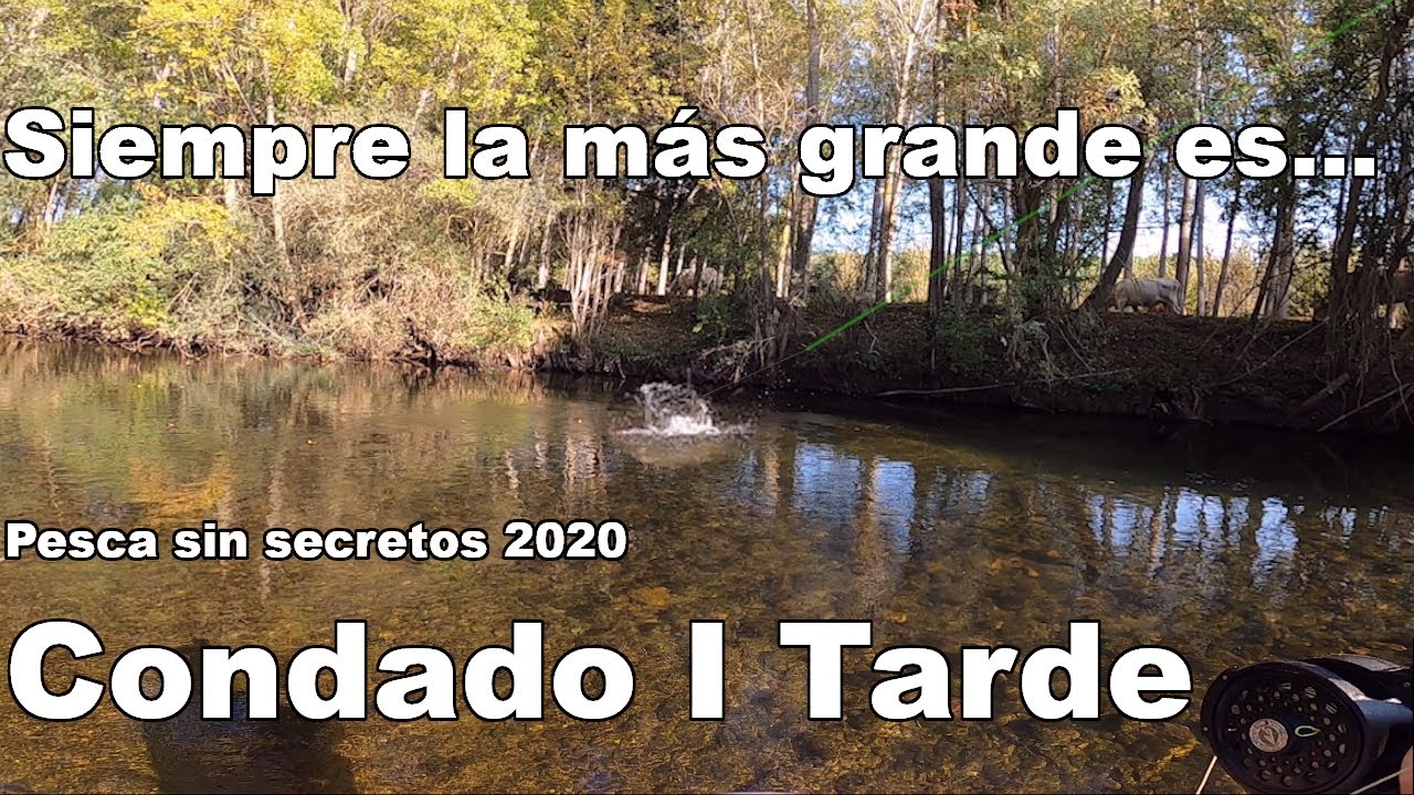 🎣 Pesca a mosca sin secretos Condado I 2020 Tarde 🐟