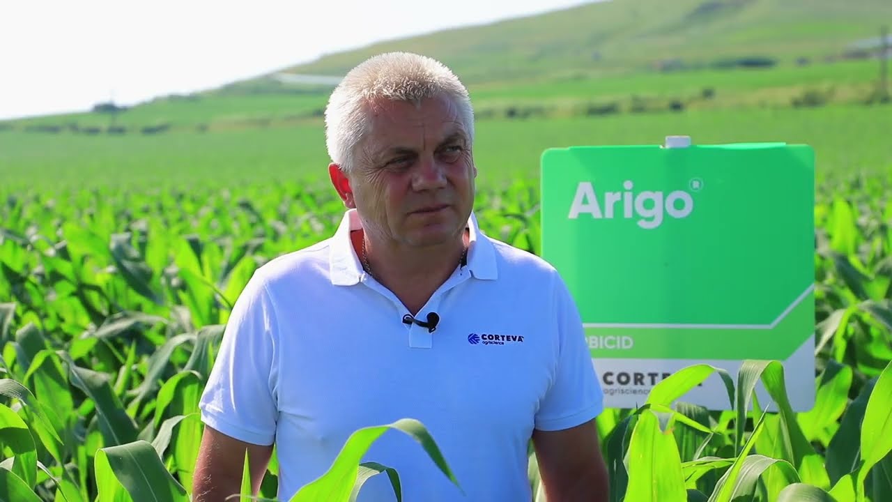 Testimonial hibrizii de porumb Pioneer® și erbicidul Arigo® - dl. Emil Turdean