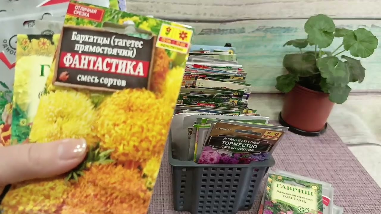 Сад-огород 2025: шуршу пакетиками цветов. Ч.1.