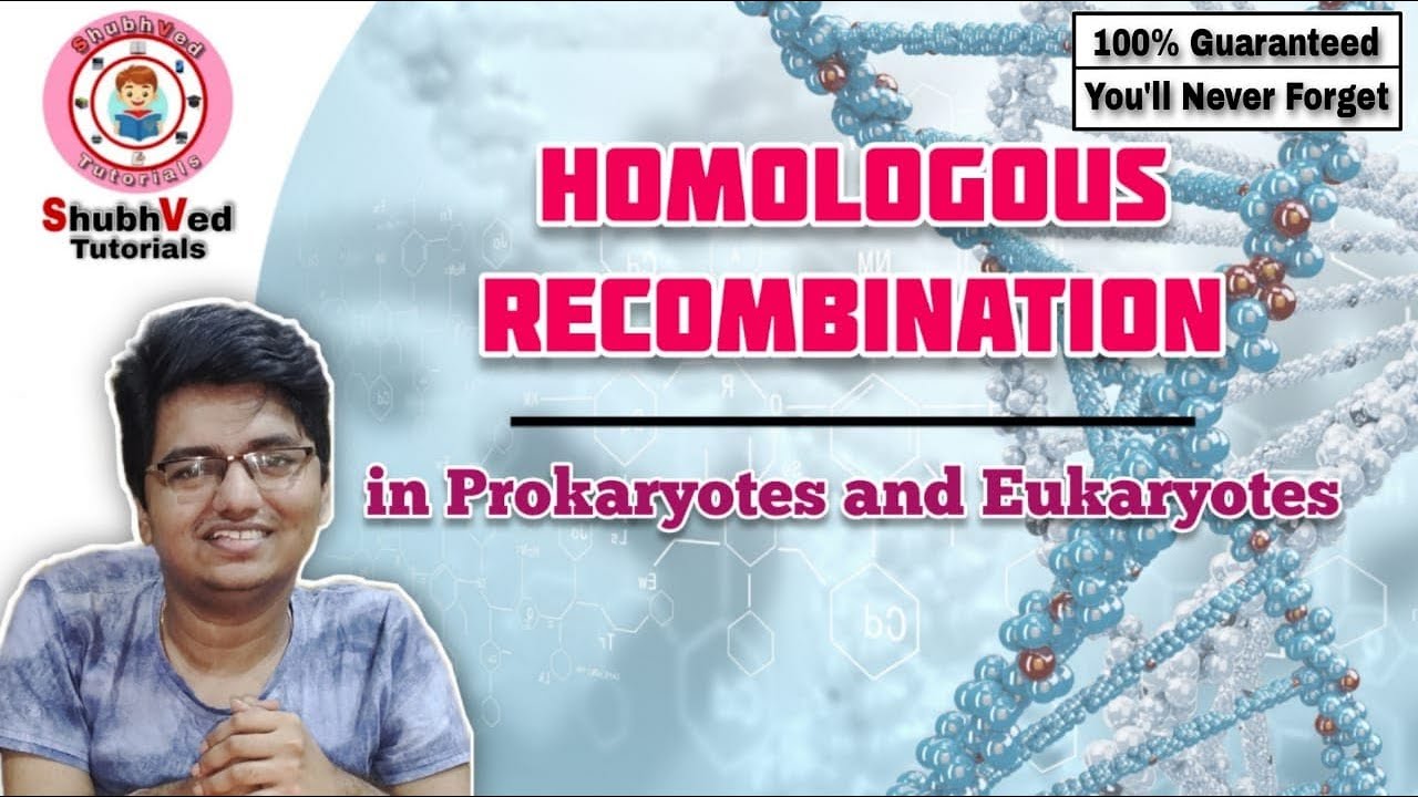 Homologous Recombination in prokaryotes and eukaryotes