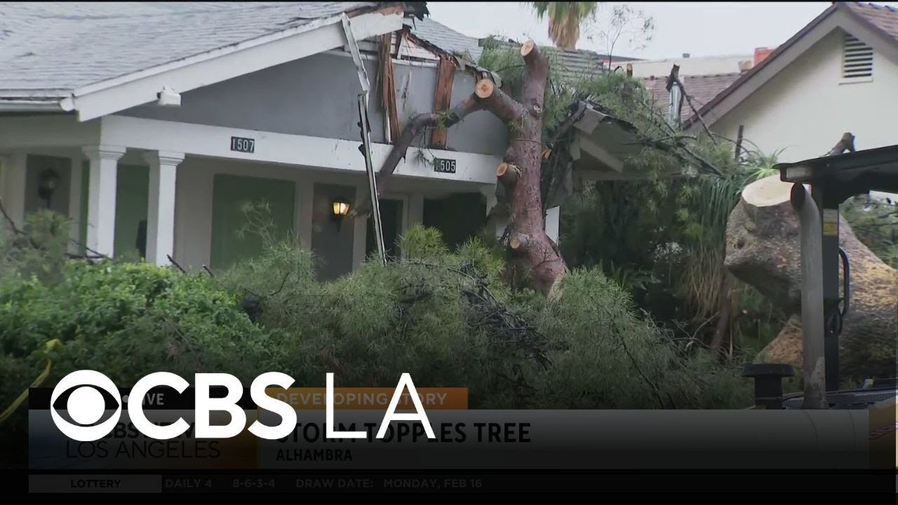 Storm topples tree onto Alhambra home
